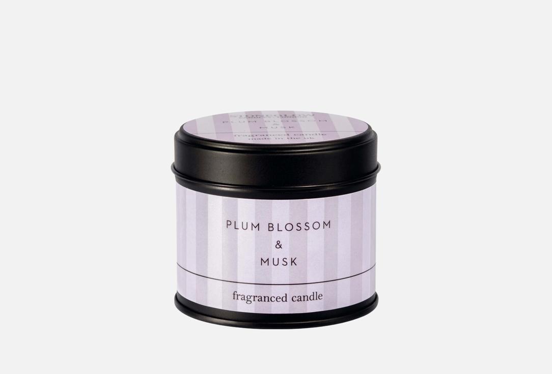 Изображение товара Ароматическая свеча Stoneglow candels Цветы сливы и мускус