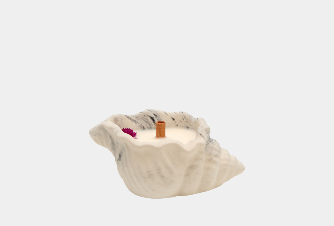 Изображение товара Ароматическая свеча SHE STYLE Ракушка Тропический микс гипс 40 мл