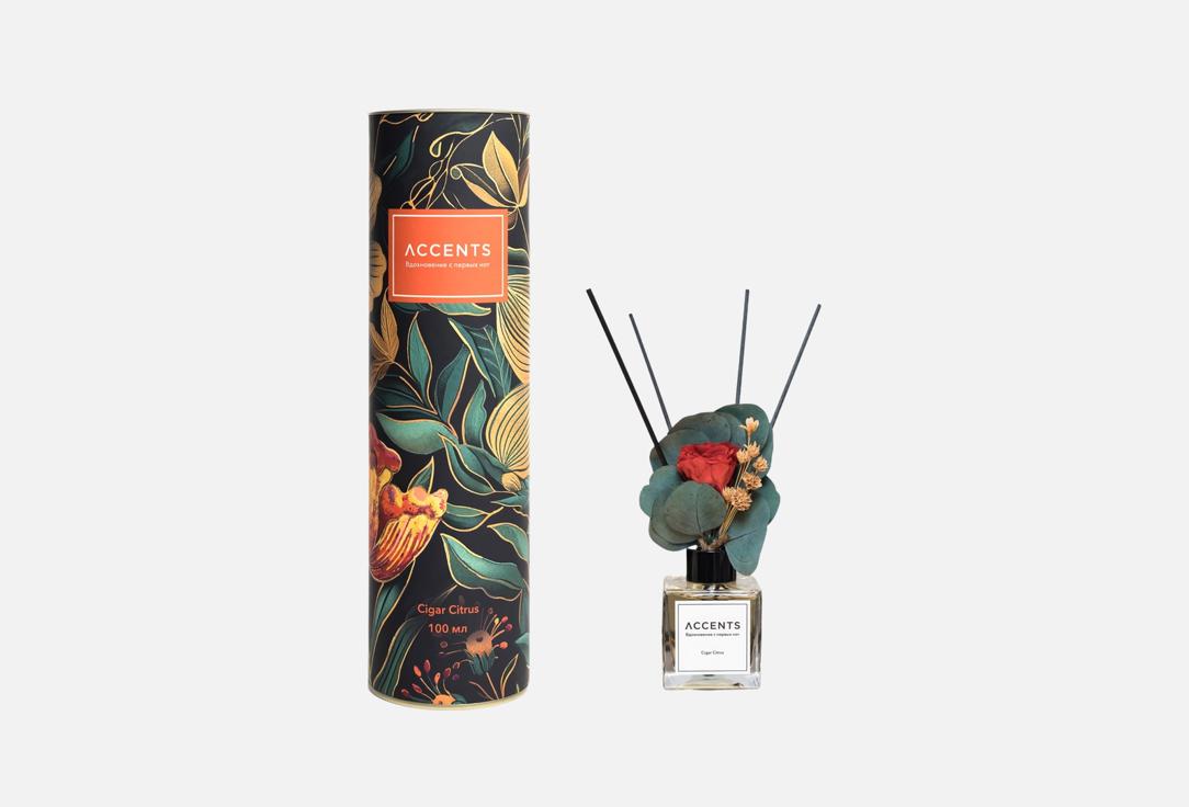 Изображение товара Аромадиффузор с сухоцветами Accents Cigar Citrus