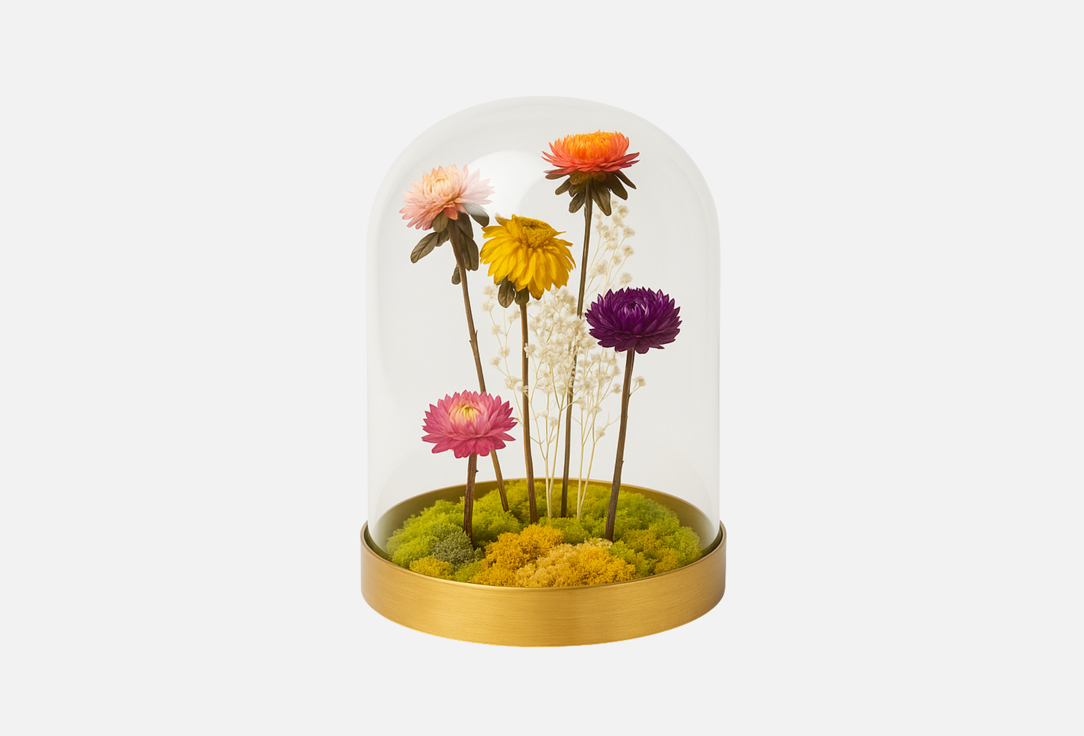 

Декоративный клош с сухоцветами LIGHTDELIGHT, Мультиколор, Floral Curiosity Cloche, 18 см 1 шт