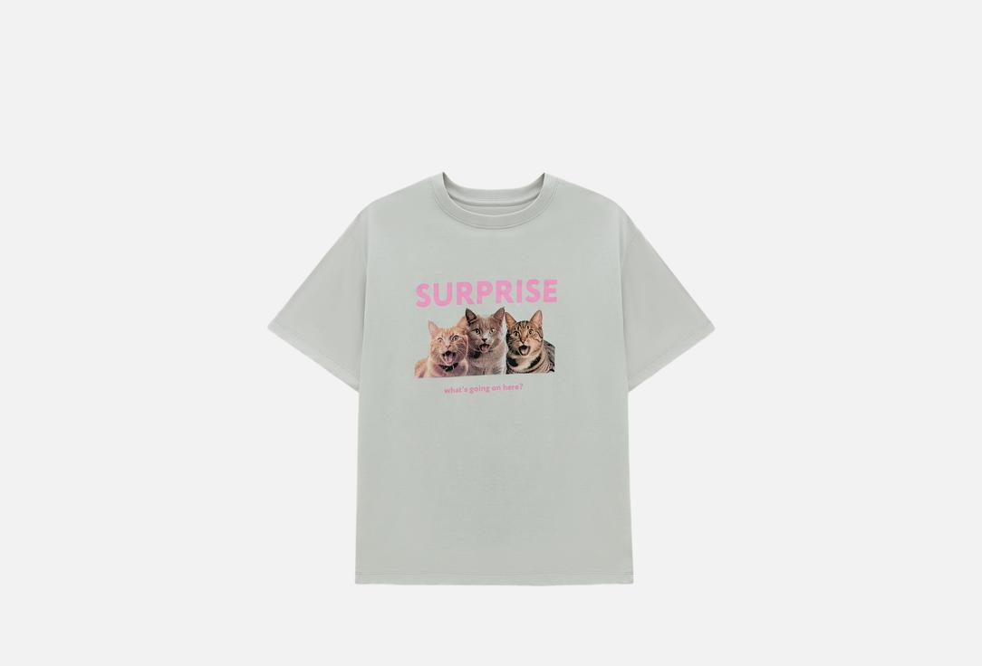 Изображение товара Оверсайз футболка с принтом Mark Formelle серого цвета для женщин