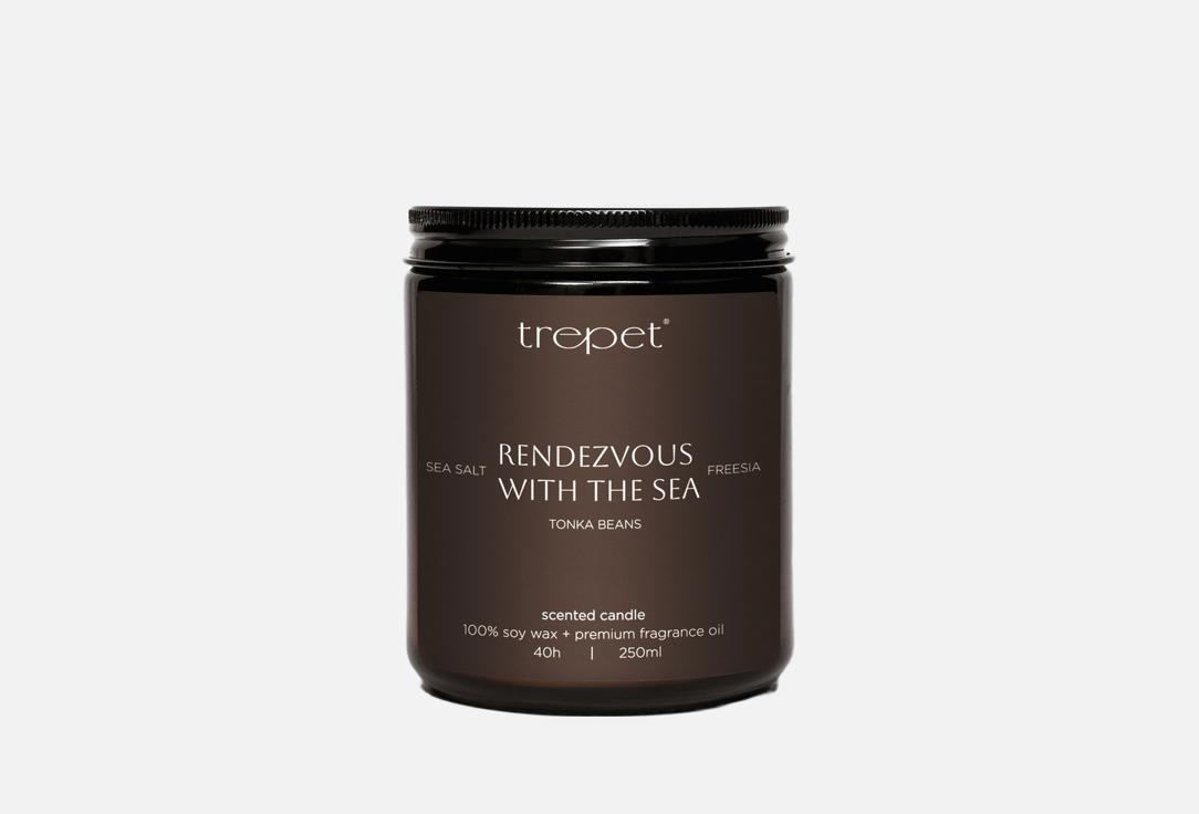Изображение товара Ароматическая свеча Trepet rendezvous with the sea 250 мл с морскими нотами
