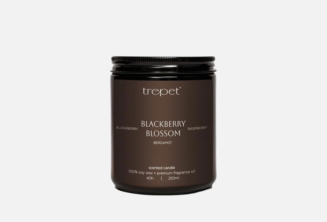 Изображение товара Ароматическая свеча Trepet blackberry blossom