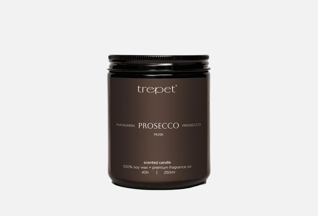 Изображение товара Ароматическая свеча Trepet prosecco