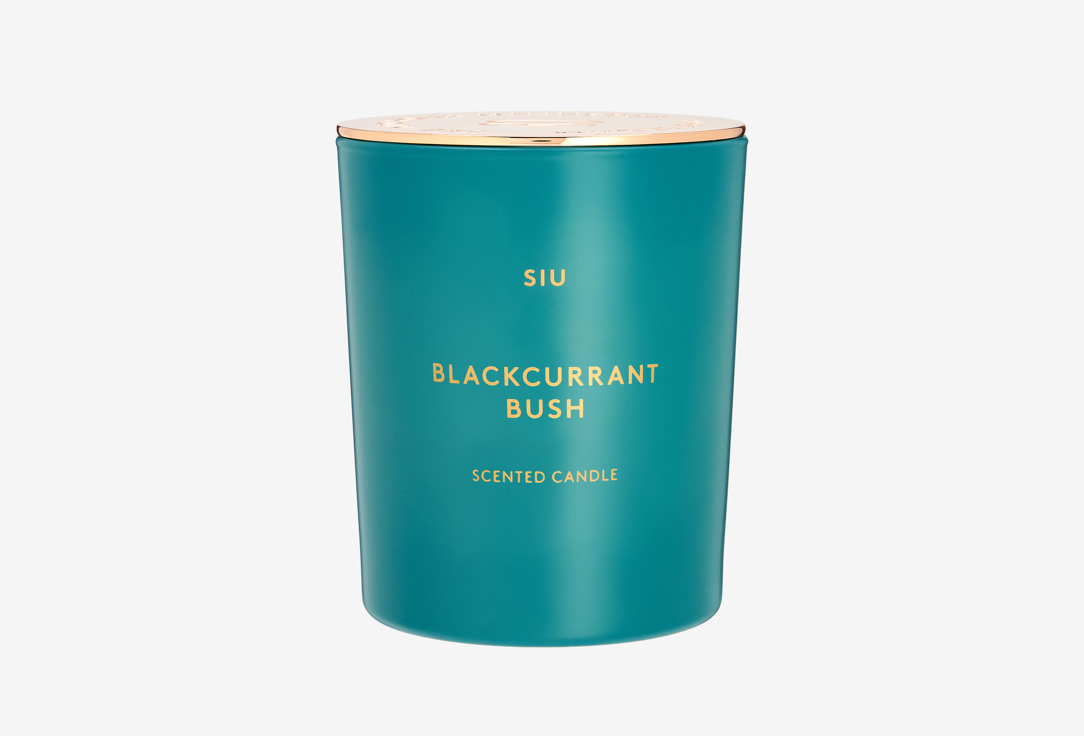 

Ароматическая свеча SIU, BLACKCURRANT BUSH 240 г