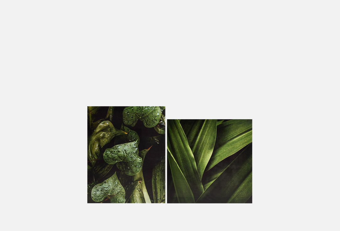 

Набор картин СИМФОНИЯ, Зеленый, Листья 2 шт