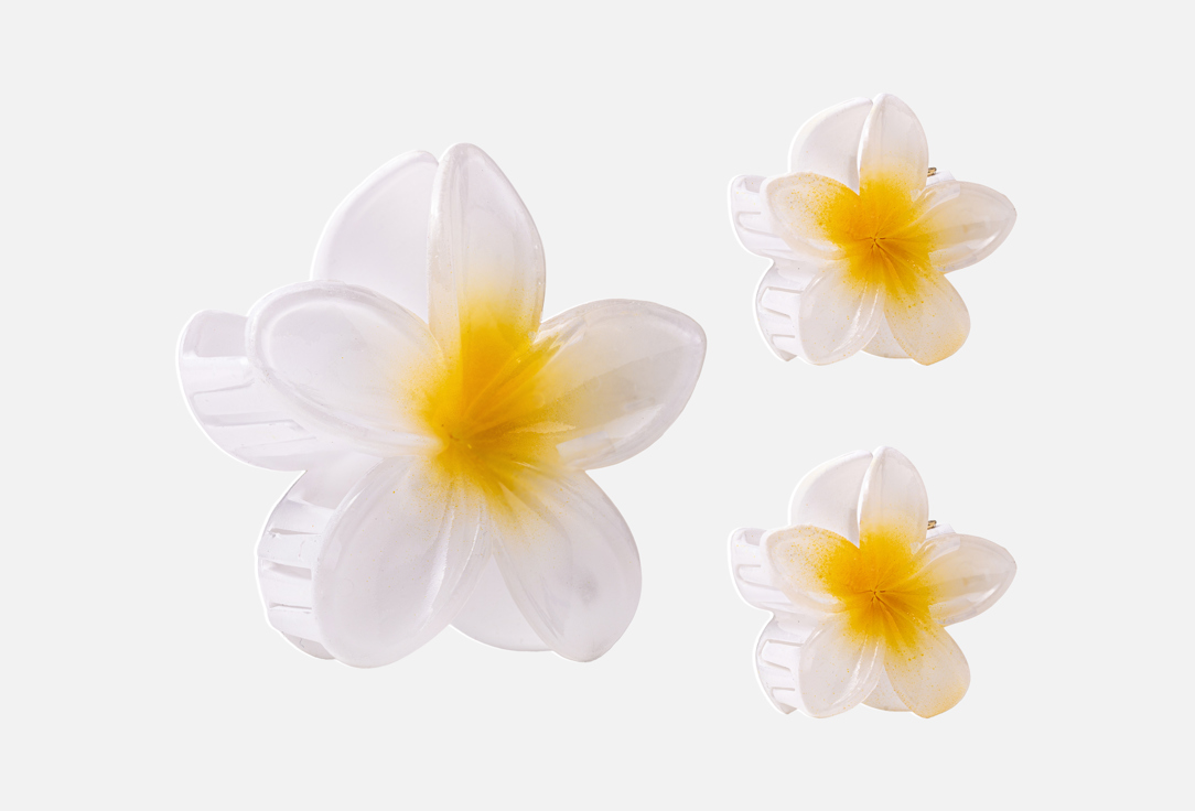 Изображение товара Набор крабиков для волос Your houser white