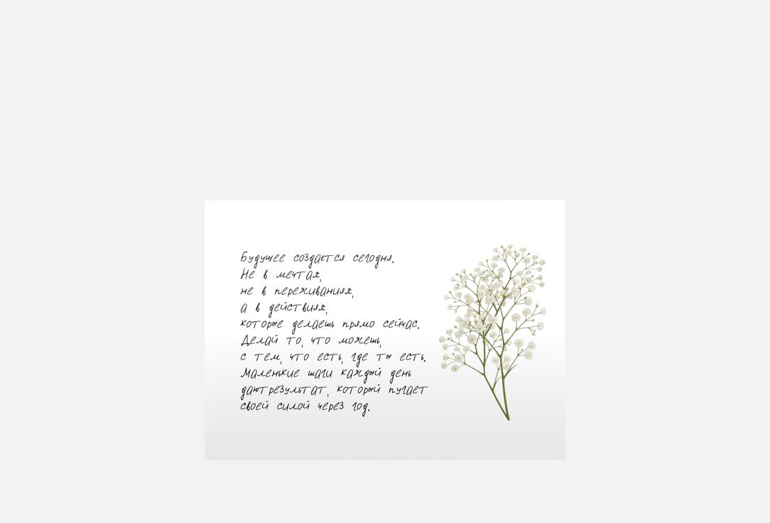 Изображение товара Открытка Тише из коллекции Meswero Signature с сухоцветами и конвертом