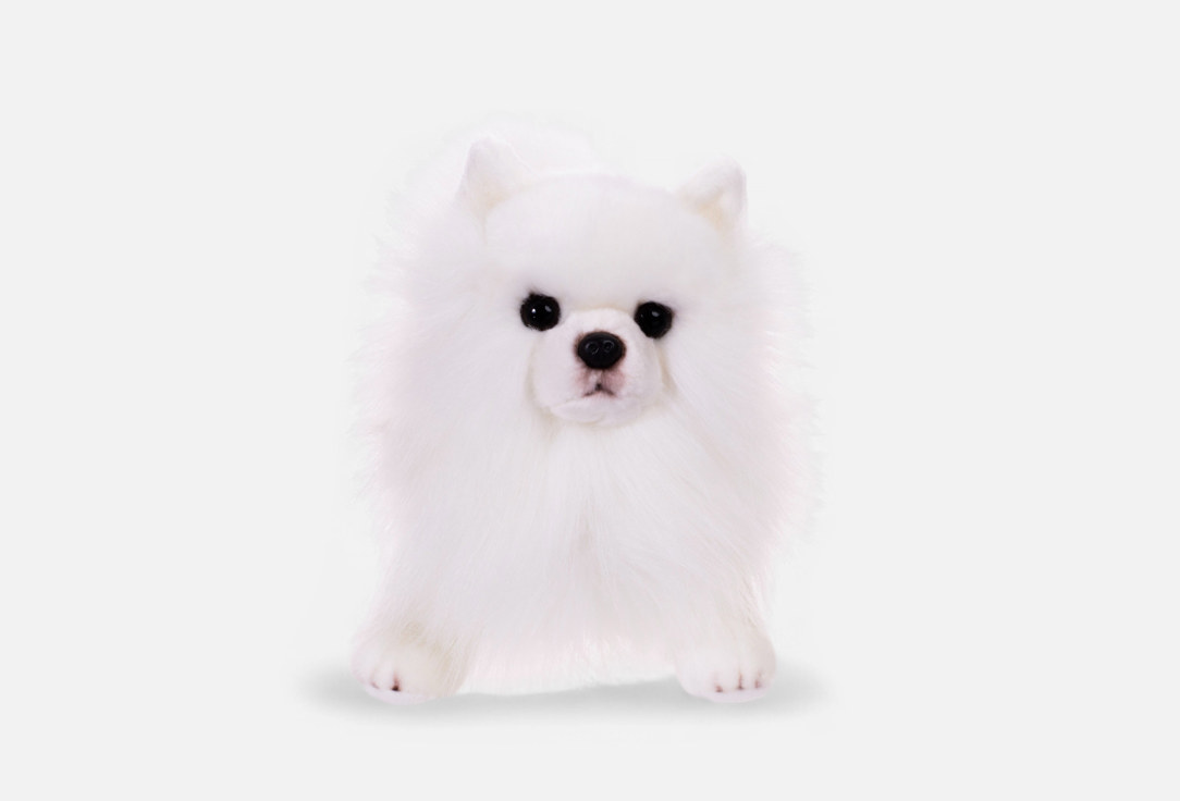 Изображение товара Мягкая игрушка Померанский шпиц 27 см из коллекции Real Animals Gulliver