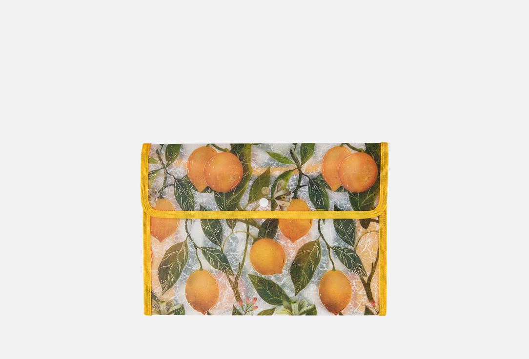 

Папка для бумаг BRUNO VISCONTI, Flora.Lemons 1 шт