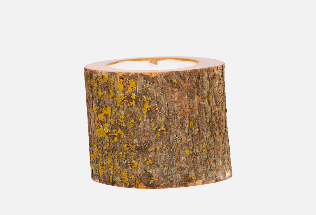 

Ароматическая свеча ELEMENTIS NATURAE, Ночная свежесть 95 мл