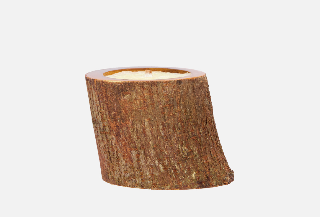 

Ароматическая свеча ELEMENTIS NATURAE, Утренний взрыв 95 мл