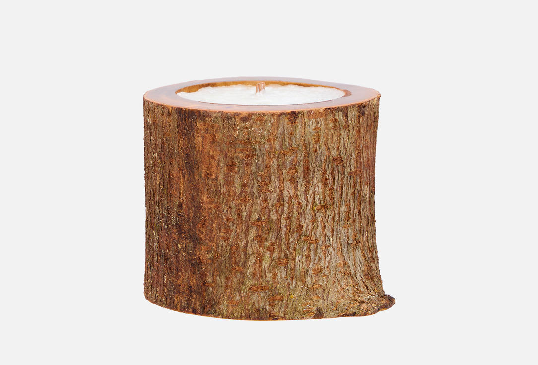 

Ароматическая свеча ELEMENTIS NATURAE, Дух победы 95 мл