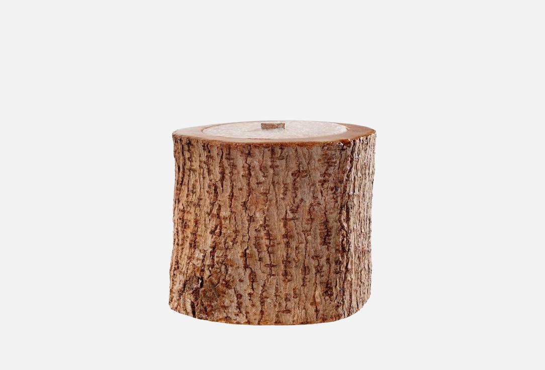 

Ароматическая свеча ELEMENTIS NATURAE, Дух победы 95 мл