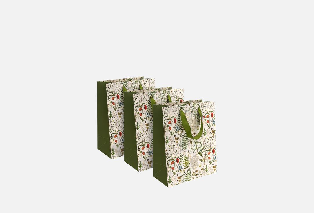 

Набор подарочных пакетов BRUNO VISCONTI, FLora, Луговые Травы, L 3 шт