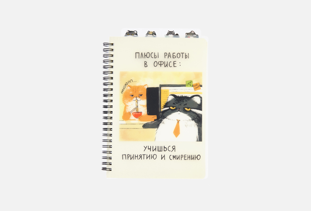 Изображение товара Тетрадь с разделителями LISTOFF манул манулыч