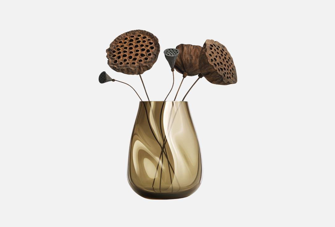 

Сухоцветы LIGHTDELIGHT, Коричневый, Лотос, 40 см 5 шт