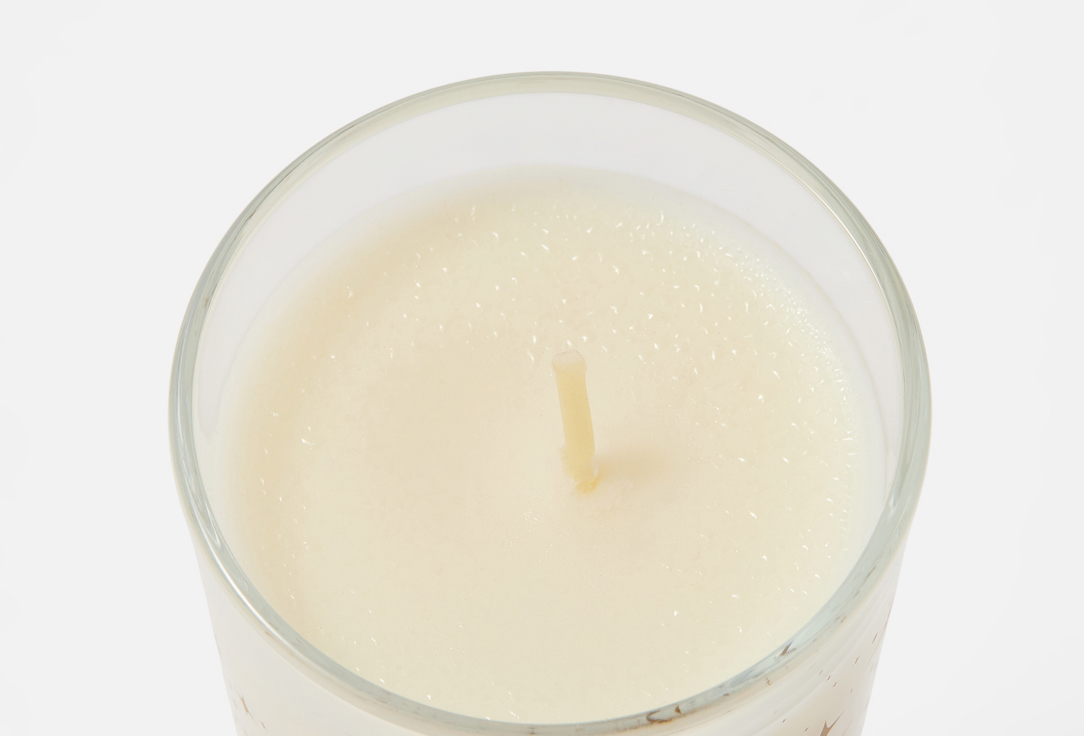 

Ароматическая свеча ESTEBAN PARIS PARFUMS, Bougie parfumée Exquisite Fir 70 г