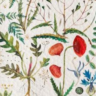 

Обложка для паспорта BRUNO VISCONTI, Бордовый, Бордовая