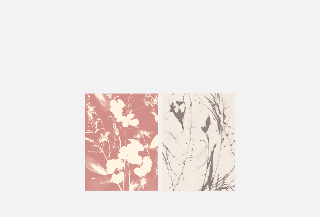 

Набор постеров OTS HOME, Принт, Цветы, 30х40 см 2 шт