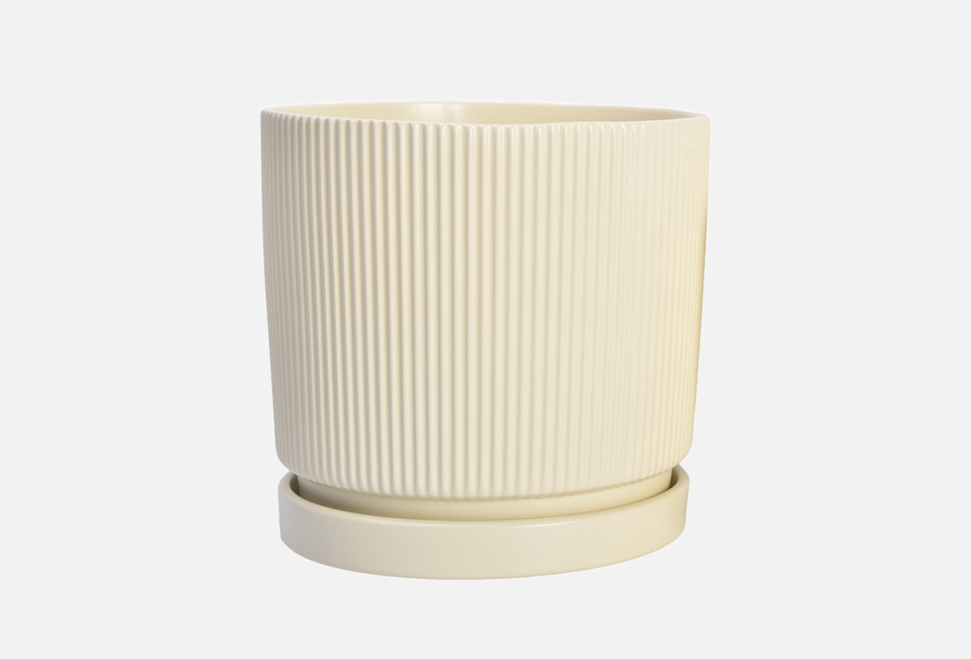 

Горшок с блюдцем MANDARIN DECOR, Белый, Рельеф, кремовый, 12,8 см 1 шт